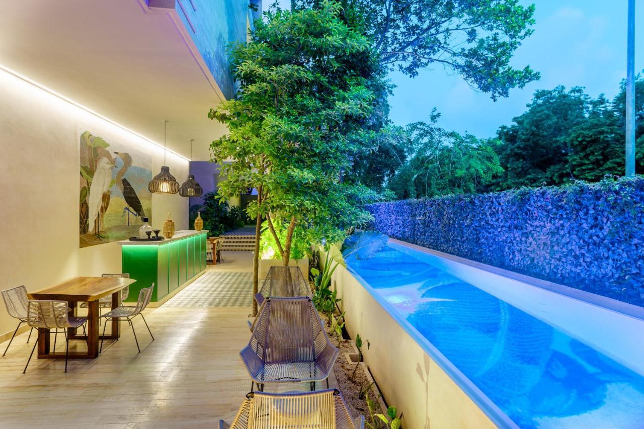 Private Pool Apartment For Groups 图卢姆 外观 照片